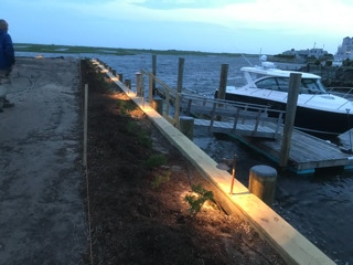 Landscape lighting alongside a dock