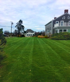 green lush lawn, thanks to Dependable Landscaping