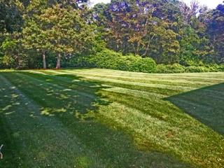 green lush lawn, thanks to Dependable Landscaping
