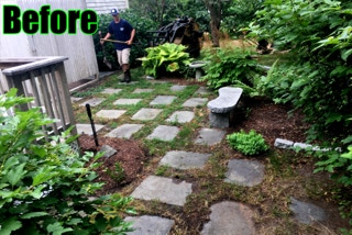 old stepping stones, before removal for a patio